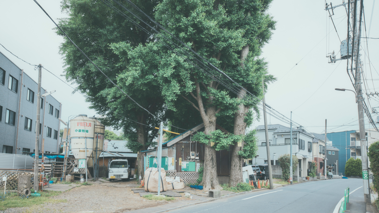 小泉牧場